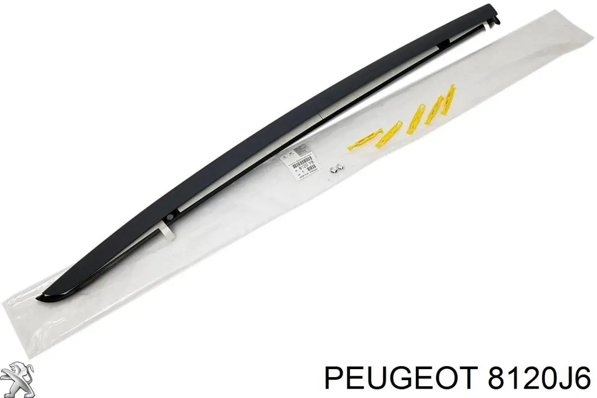 8120J6 Peugeot/Citroen 