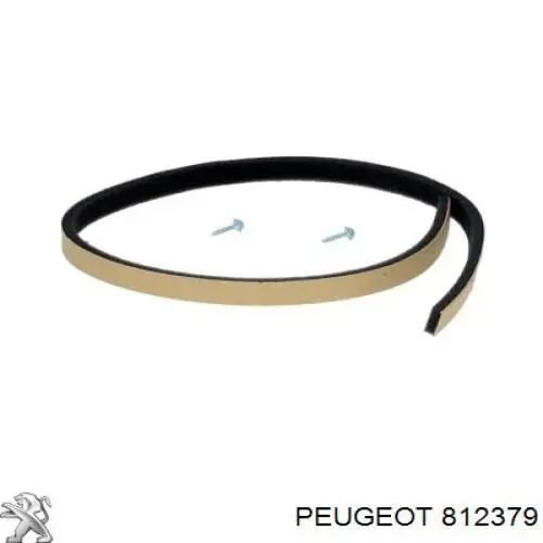 812379 Peugeot/Citroen 