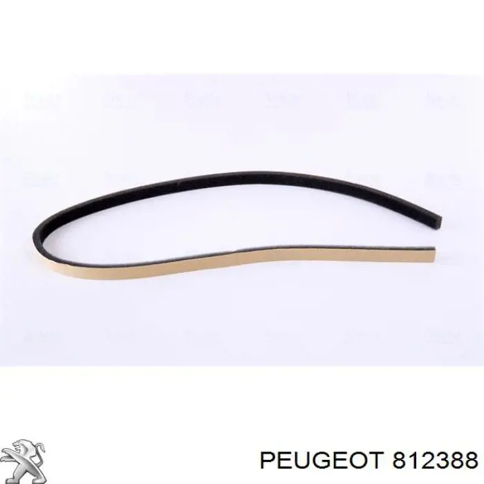 Compre 163312 Triclo Cápsula (prendedor) de fixação de moldura de pára-brisas
