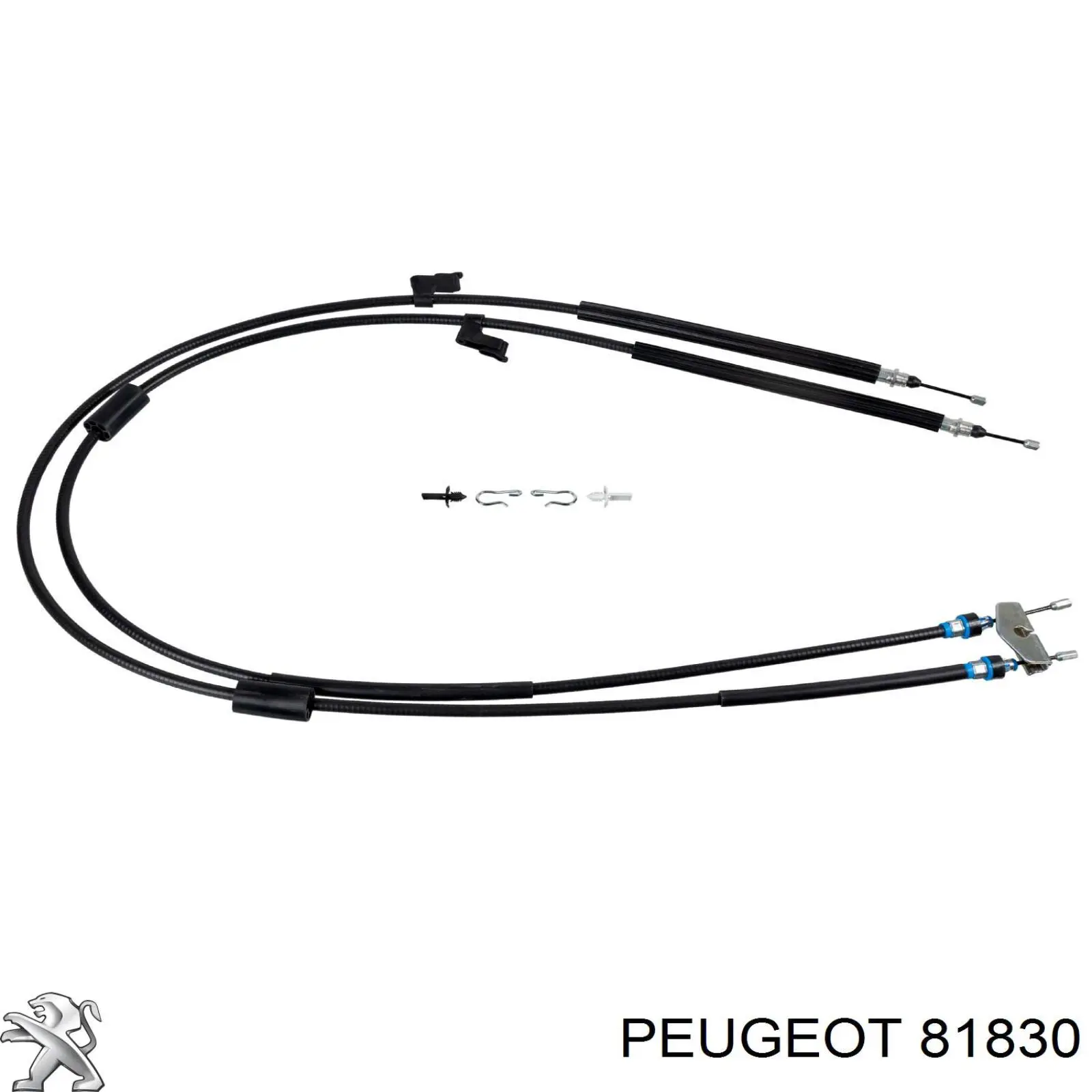 Sapato de reguladora de tensão da cadeia do mecanismo de distribuição de gás Peugeot/Citroen 81830 preço, a partir de 18,07 USD