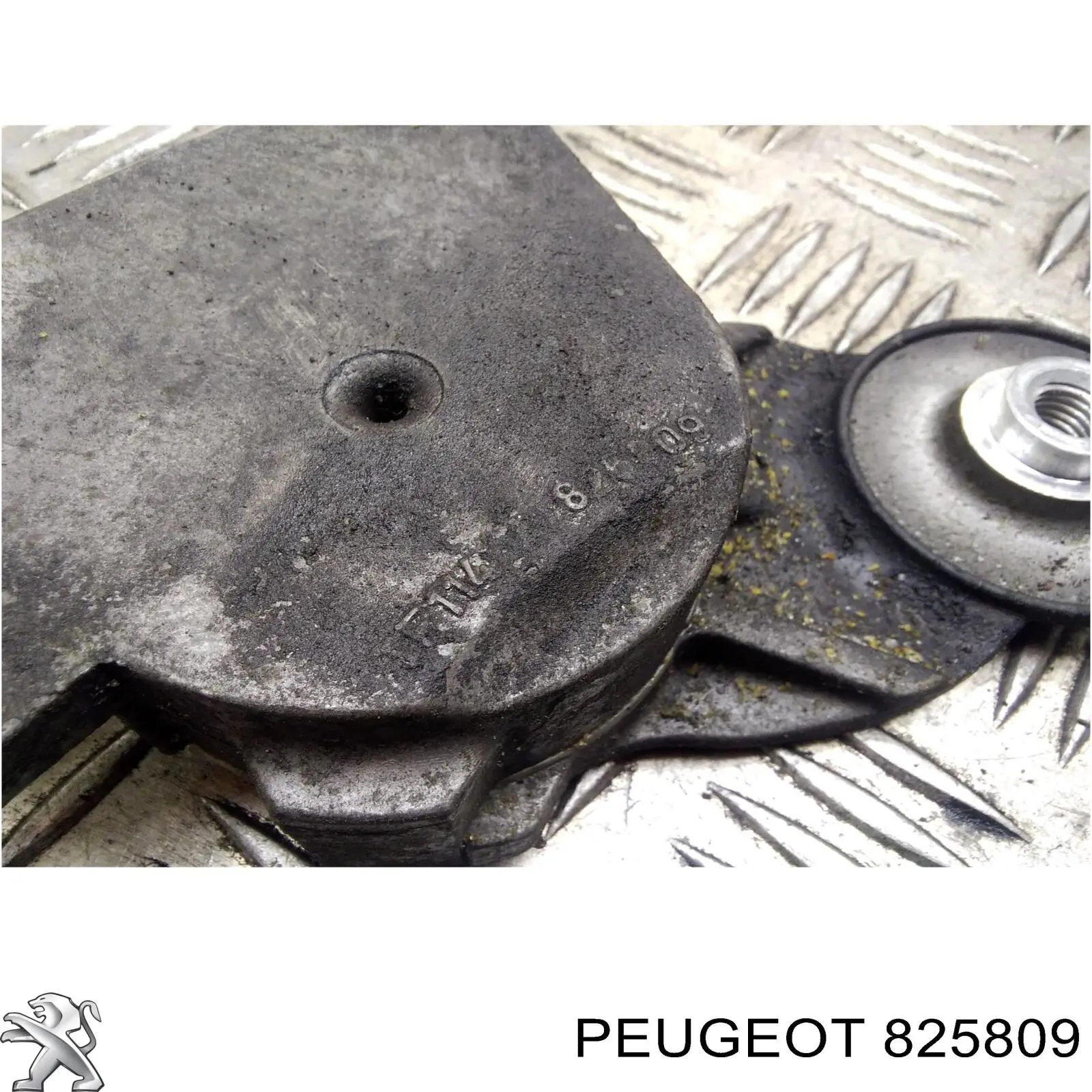 825809 Peugeot/Citroen 