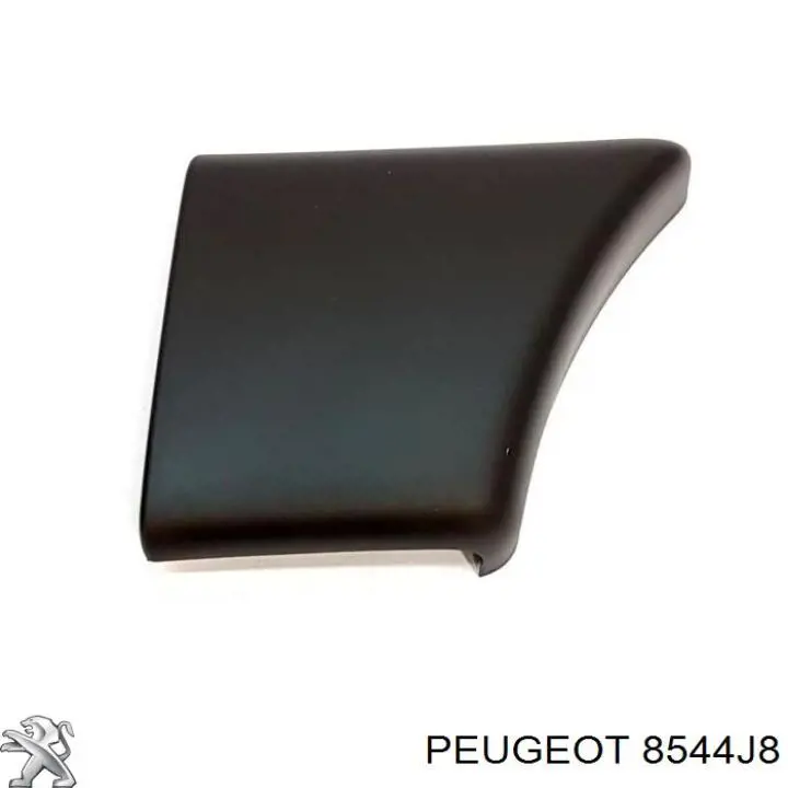 Moldura do pára-lama dianteiro direito Peugeot/Citroen 8544J8 preço, a partir de 14,90 USD