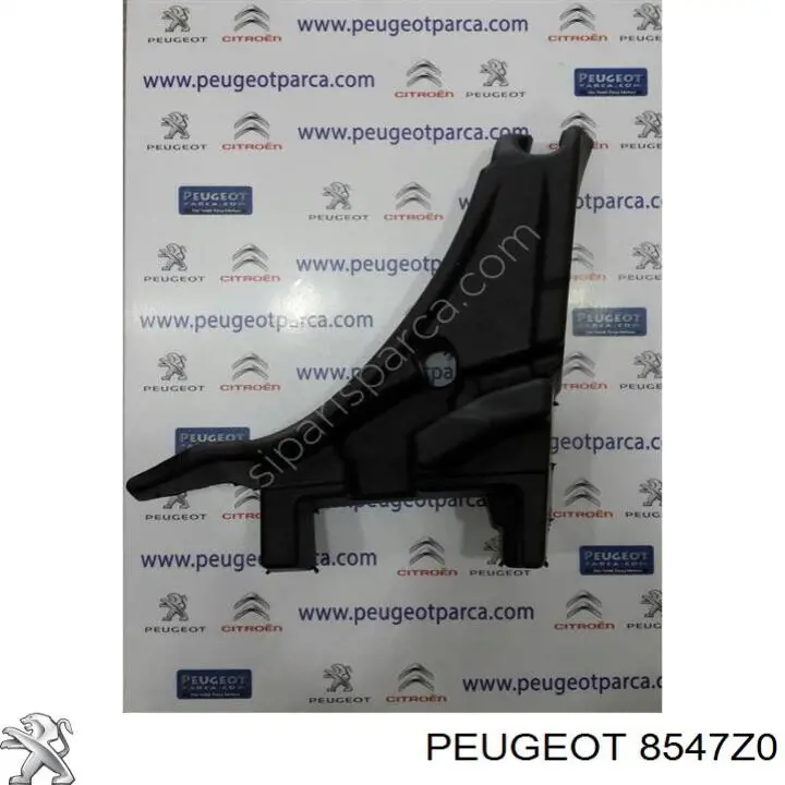 Compre 735438349 Fiat/Alfa/Lancia Placa sobreposta do pára-lama traseiro direito
