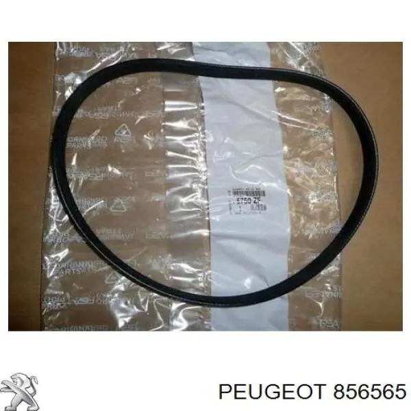 Compre 856565 Peugeot/Citroen Cápsula (prendedor) de fixação do forro do pára-choque do pára-lama traseiro