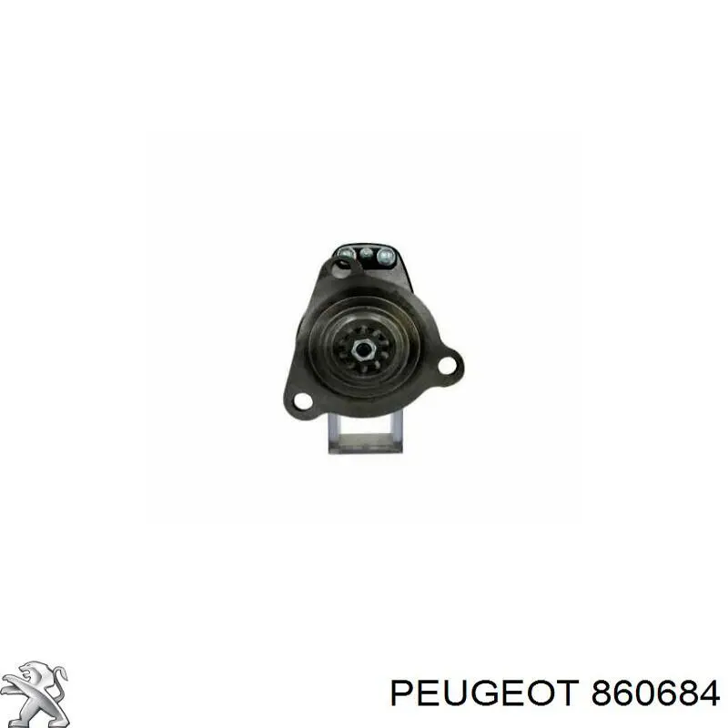 960684 Peugeot/Citroen Tampa de porta-malas