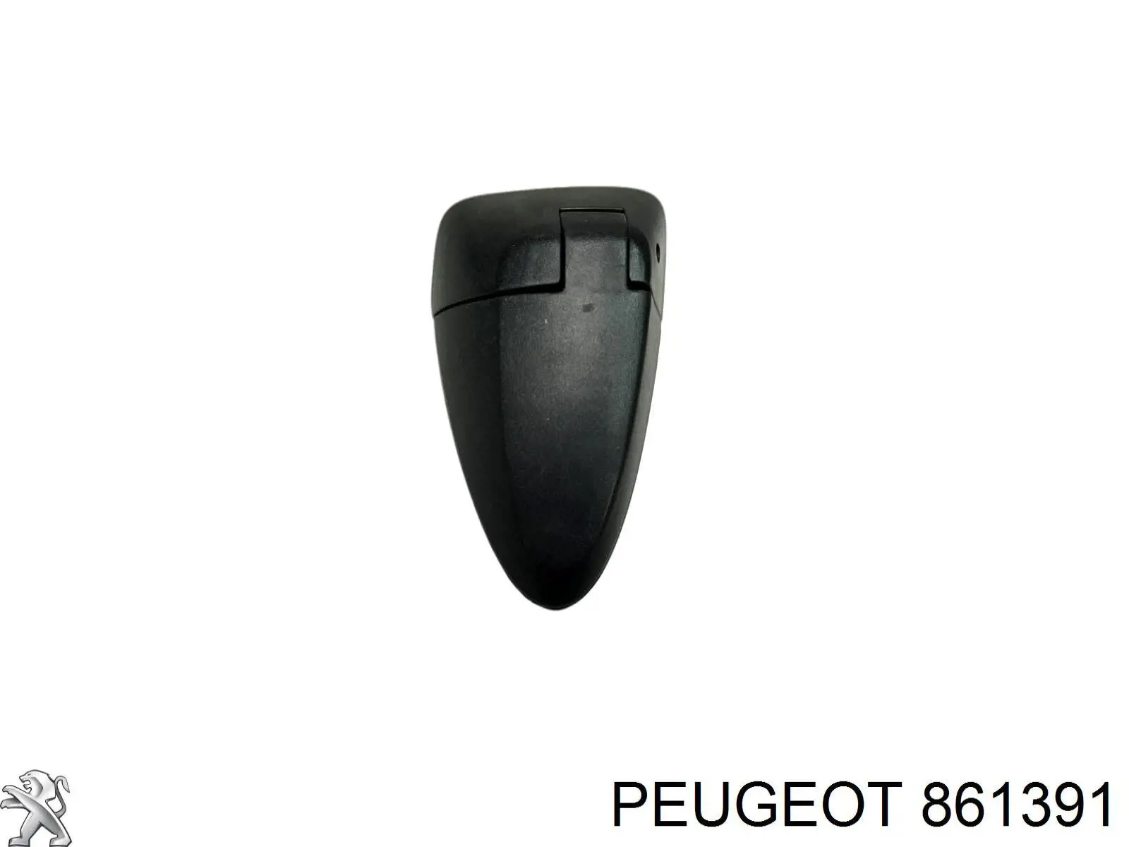 861391 Peugeot/Citroen Gozno da porta traseira (de 3º/5º bagageiro)