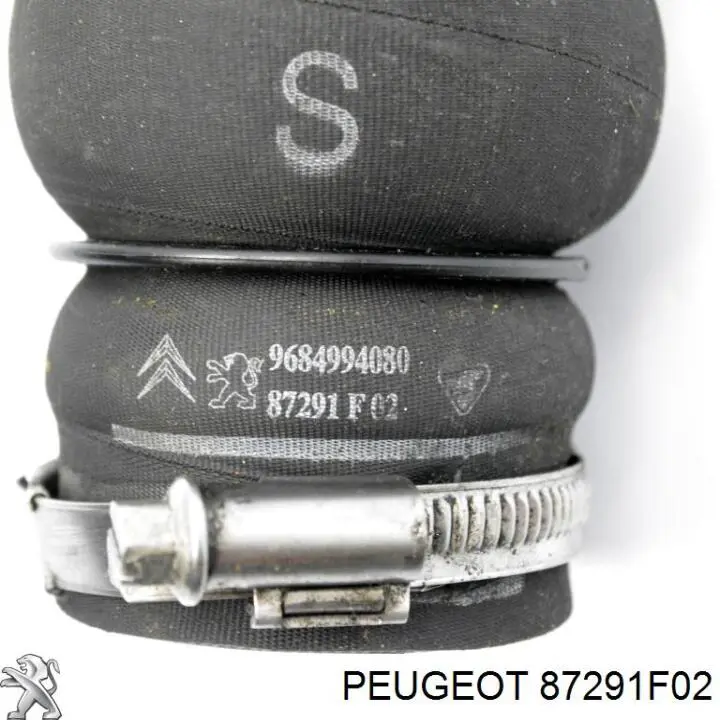 Compre 87291F02 Peugeot/Citroen 