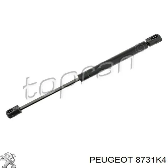 8731K4 Peugeot/Citroen Amortecedor de tampa de porta-malas (de 3ª/5ª porta traseira)