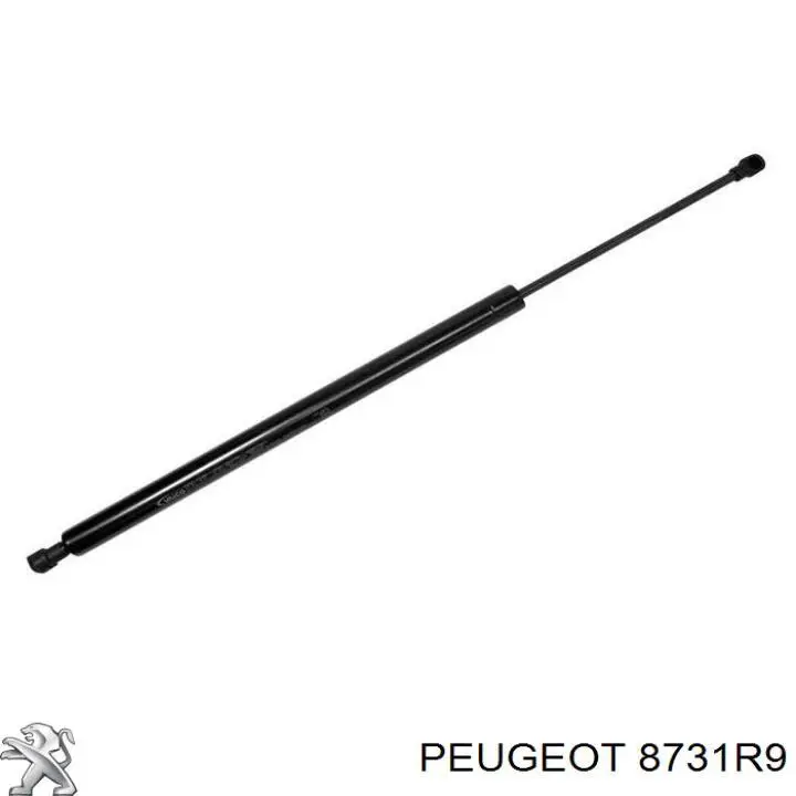 8731R9 Peugeot/Citroen Amortecedor de tampa de porta-malas (de 3ª/5ª porta traseira)