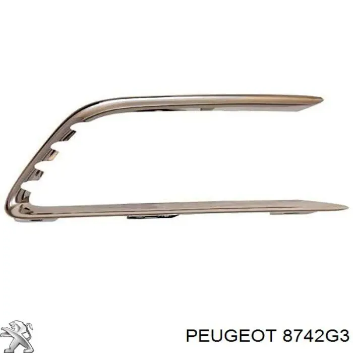 8742G3 Peugeot/Citroen 