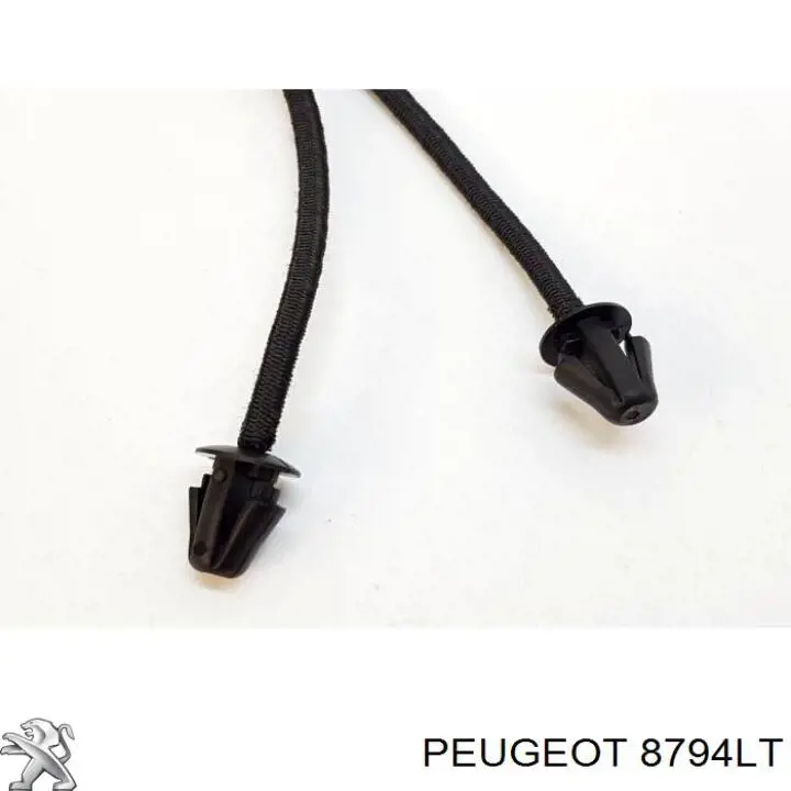 8794LT Peugeot/Citroen Fixação de estante de porta-malas
