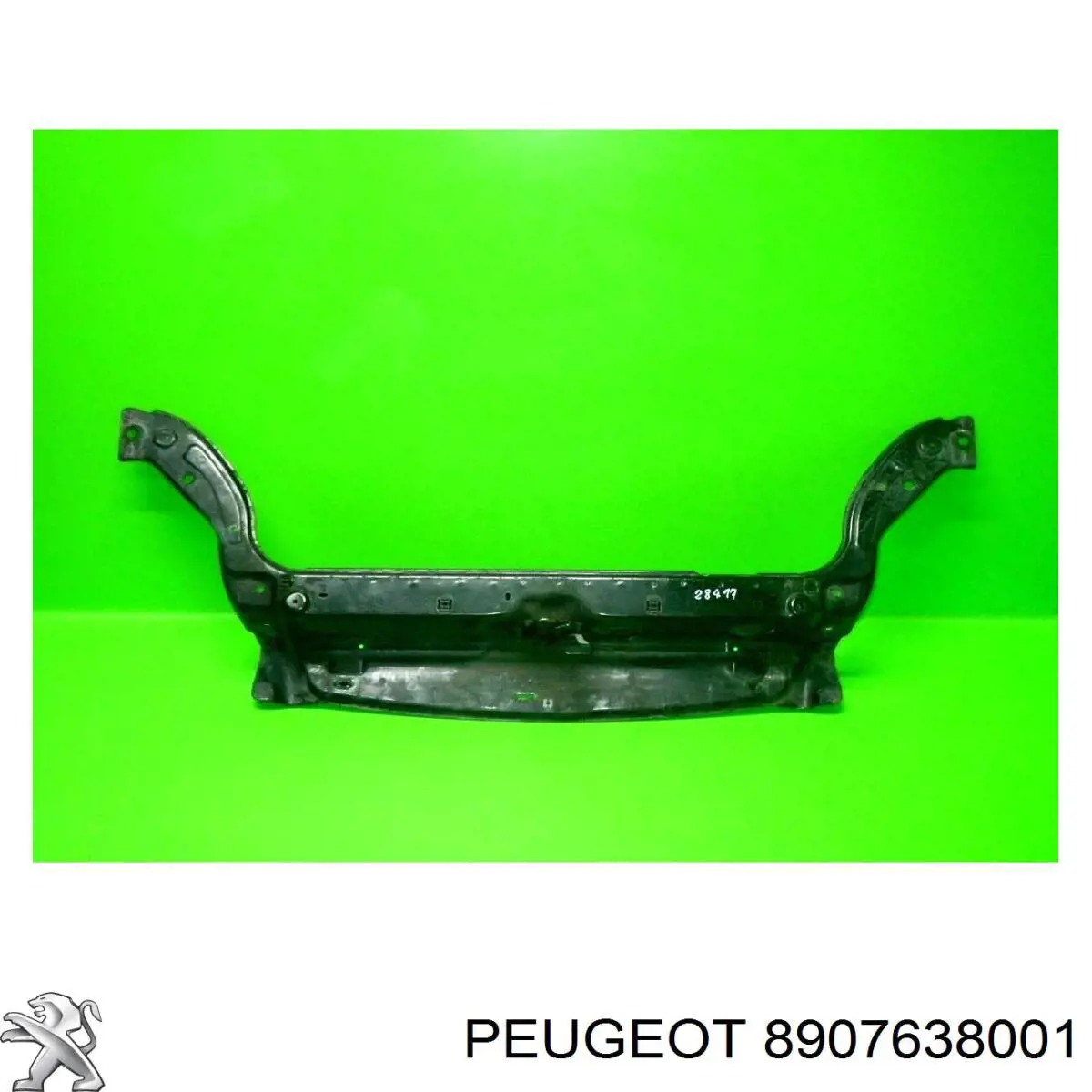 8907638001 Peugeot/Citroen 