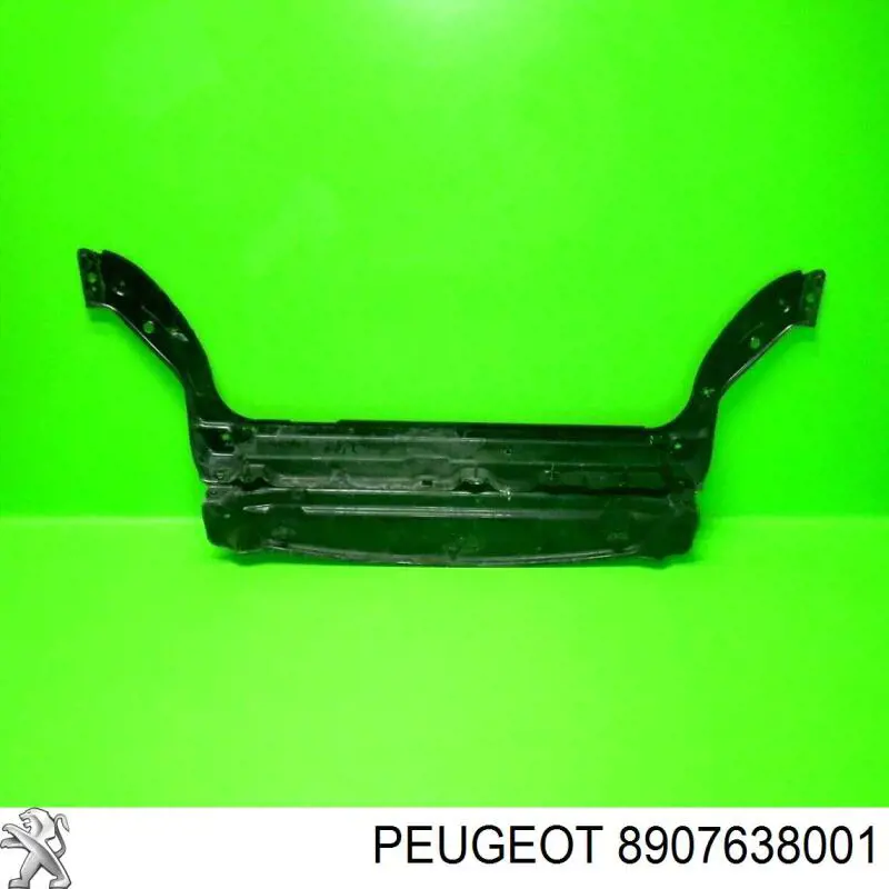 8907638001 Peugeot/Citroen 