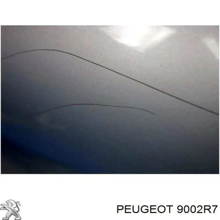 Porta dianteira esquerda para Citroen Xsara  N1