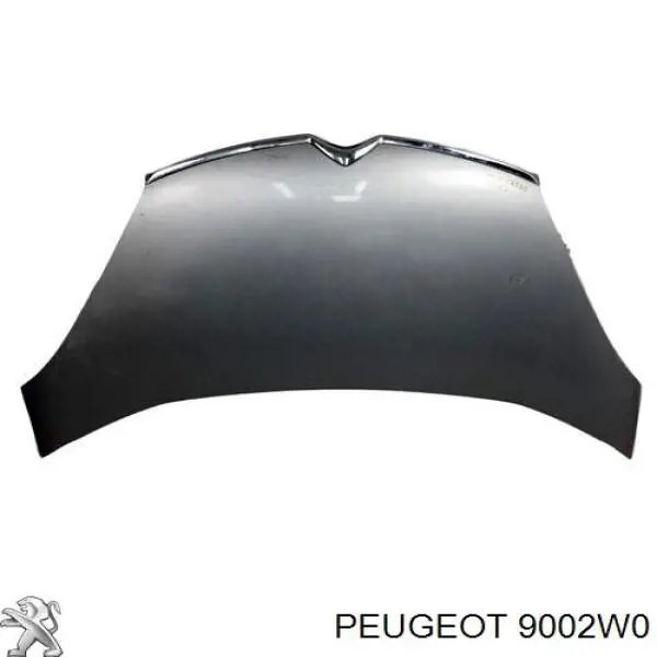 9002W0 Peugeot/Citroen Porta dianteira esquerda