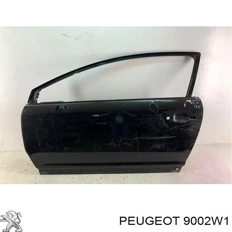 9002W1 Peugeot/Citroen Porta dianteira esquerda