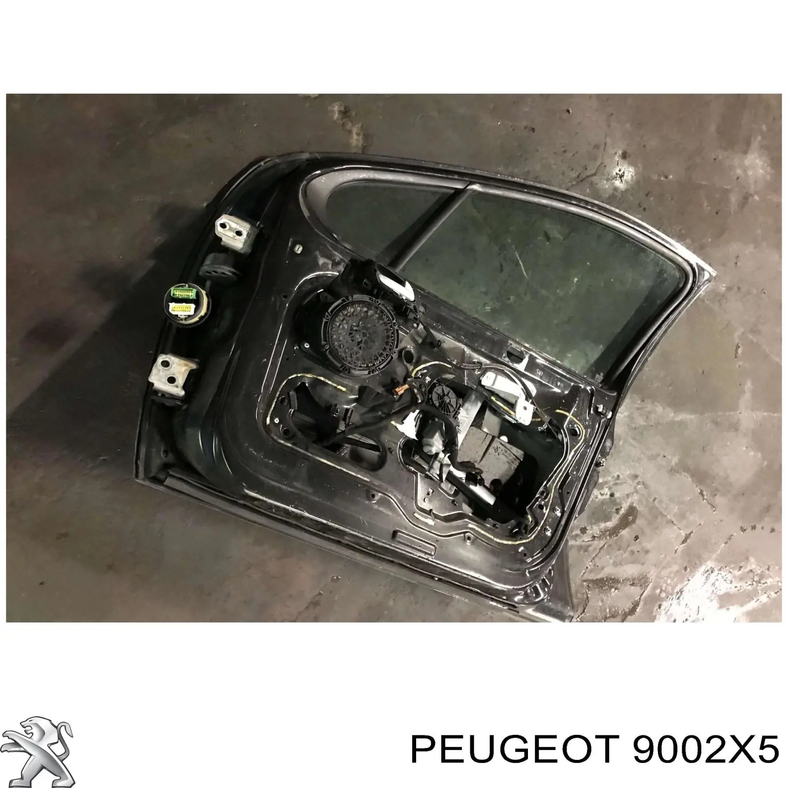 9002X5 Peugeot/Citroen Porta dianteira esquerda
