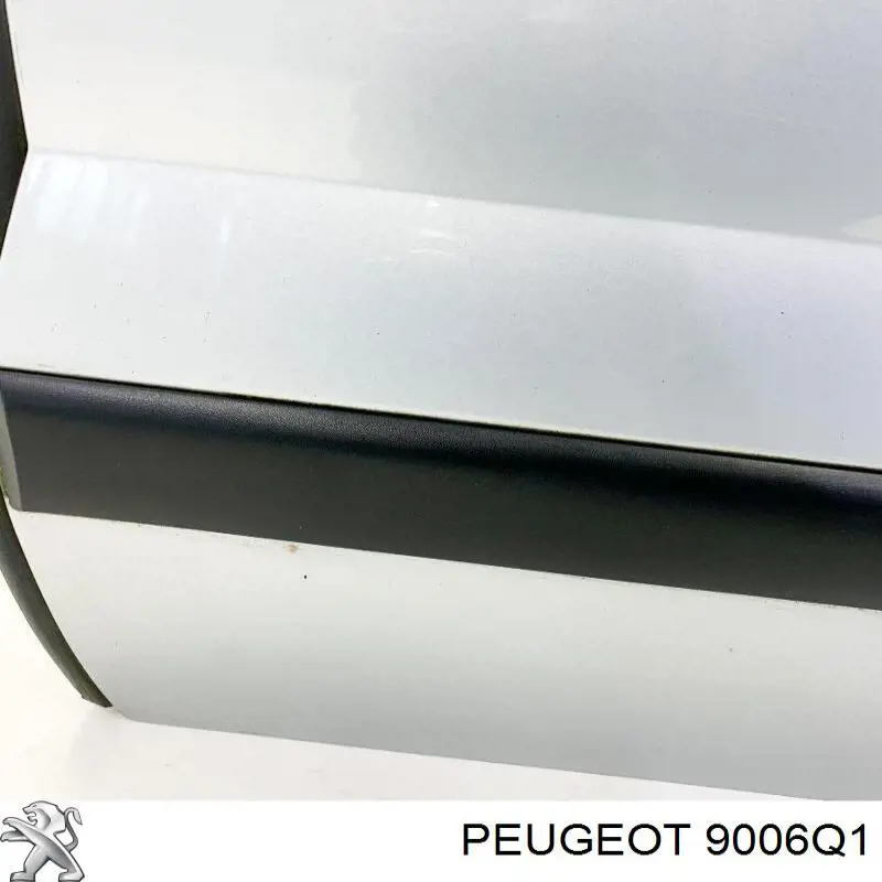 9006Q1 Peugeot/Citroen Porta traseira esquerda