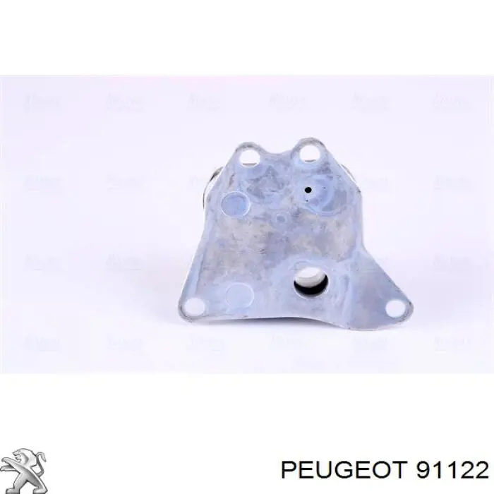 091122 Peugeot/Citroen 