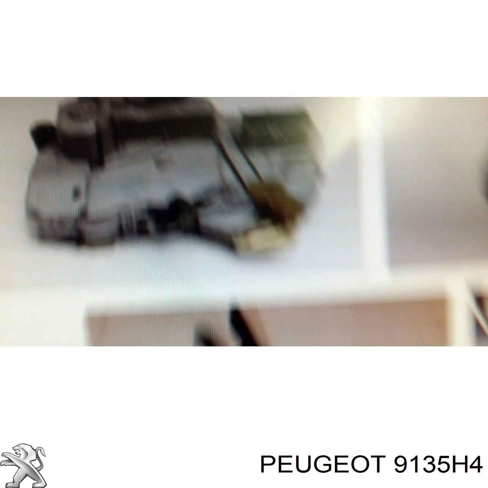 Compre 9135H4 Peugeot/Citroen Fecho da porta dianteira esquerda