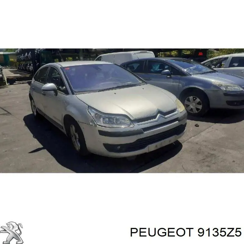 Compre 9135FA Peugeot/Citroen Fecho da porta dianteira esquerda