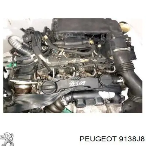 Fecho da porta traseira direita Peugeot/Citroen 9138J8 preço, a partir de 61,29 USD