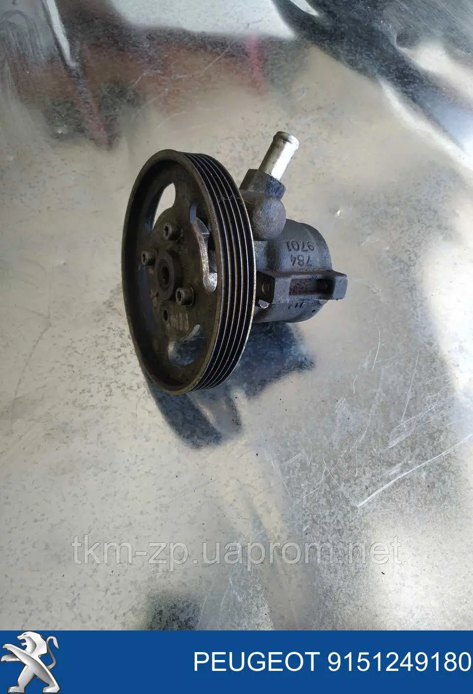 9151249180 Peugeot/Citroen Bomba da Direção hidrâulica assistida