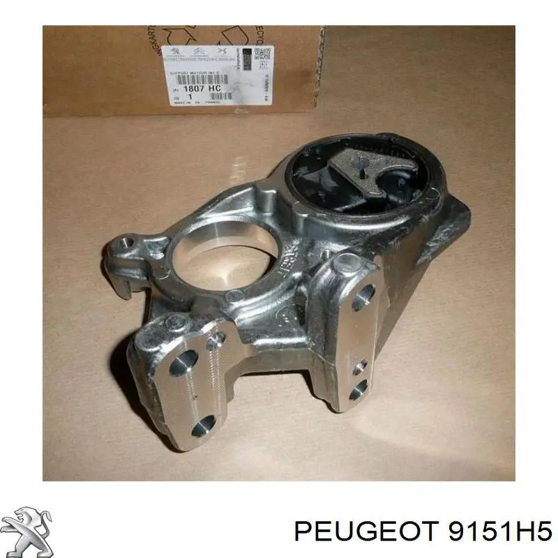 9151H5 Peugeot/Citroen 