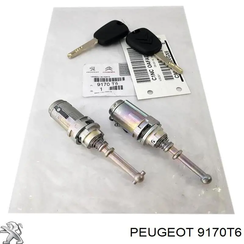 9170T6 Peugeot/Citroen 