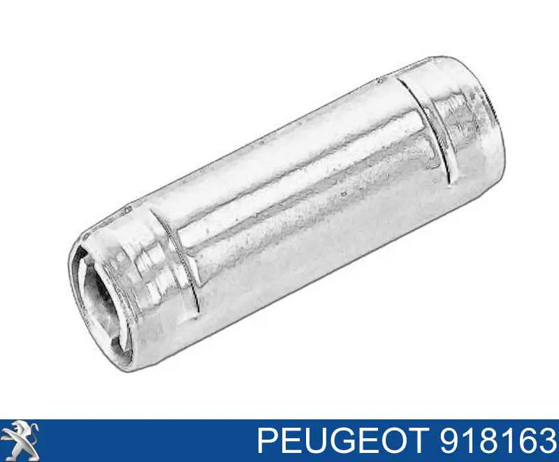918163 Peugeot/Citroen Kit de reparação de limitador da porta