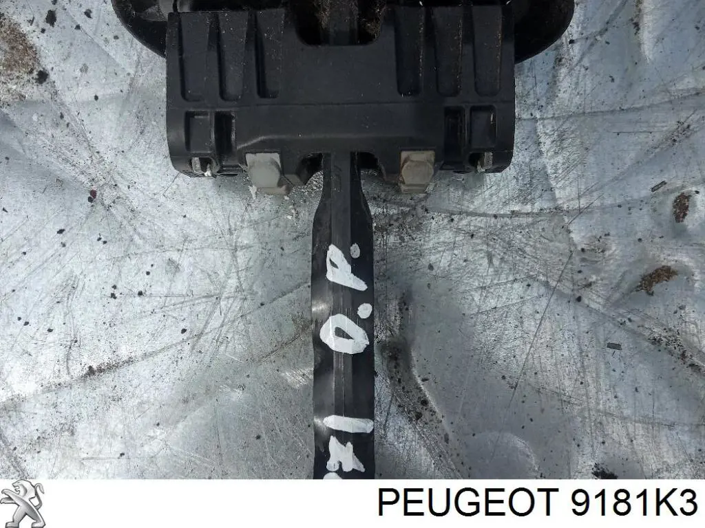 Compre 9181K3 Peugeot/Citroen Limitador dianteiro de abertura de porta