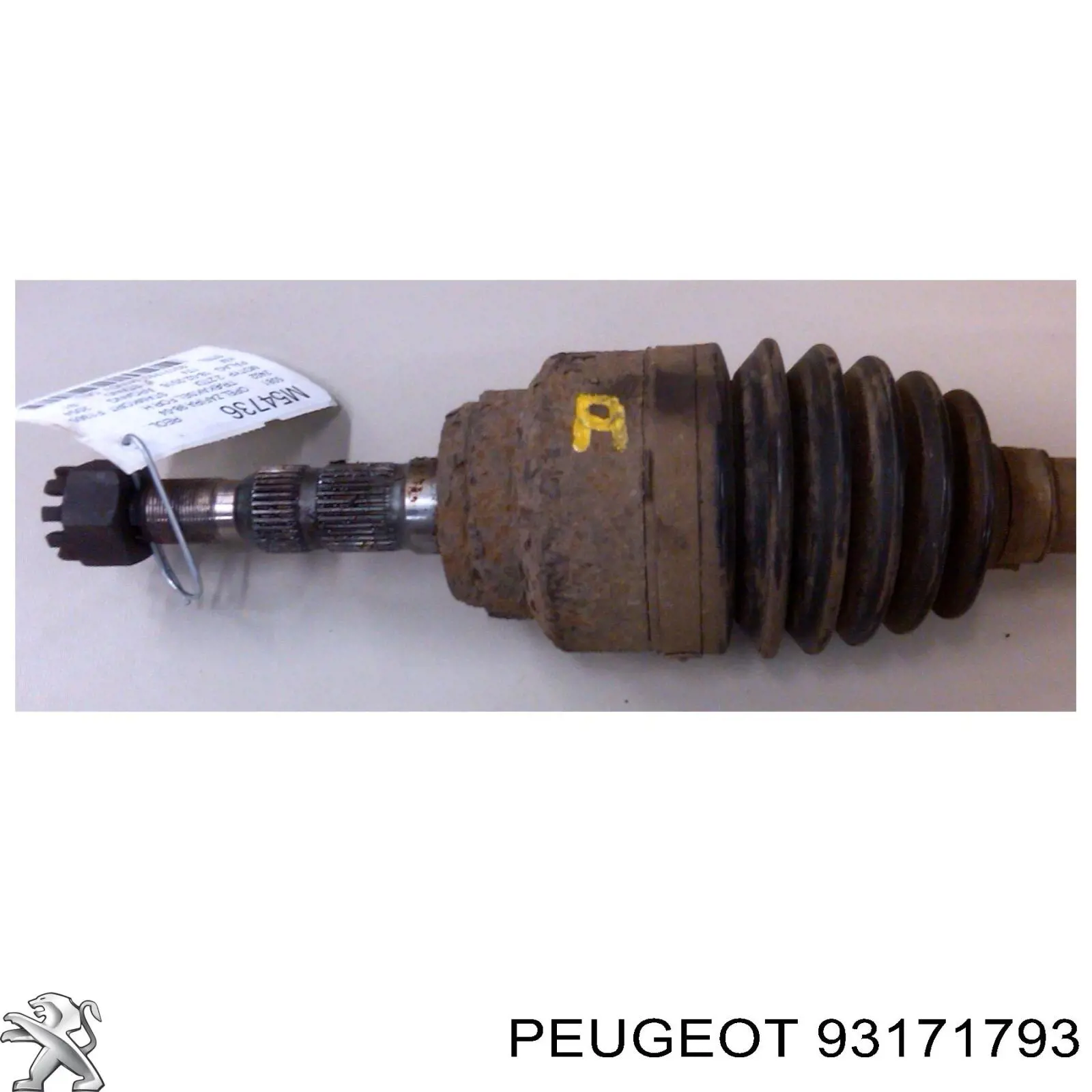 Semieixo (acionador) dianteiro direito Opel 93171793 preço, a partir de 124,36 USD