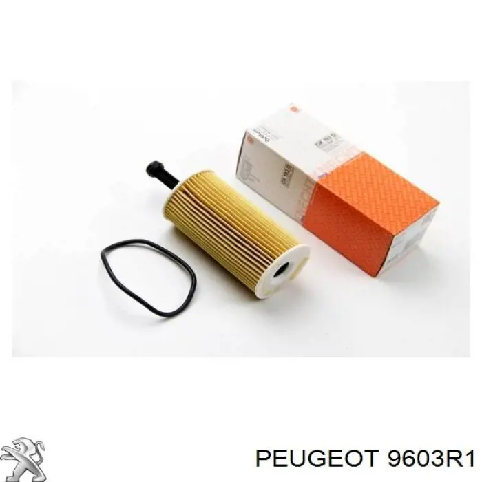 9603R1 Peugeot/Citroen Protetores de lama traseiros, kit