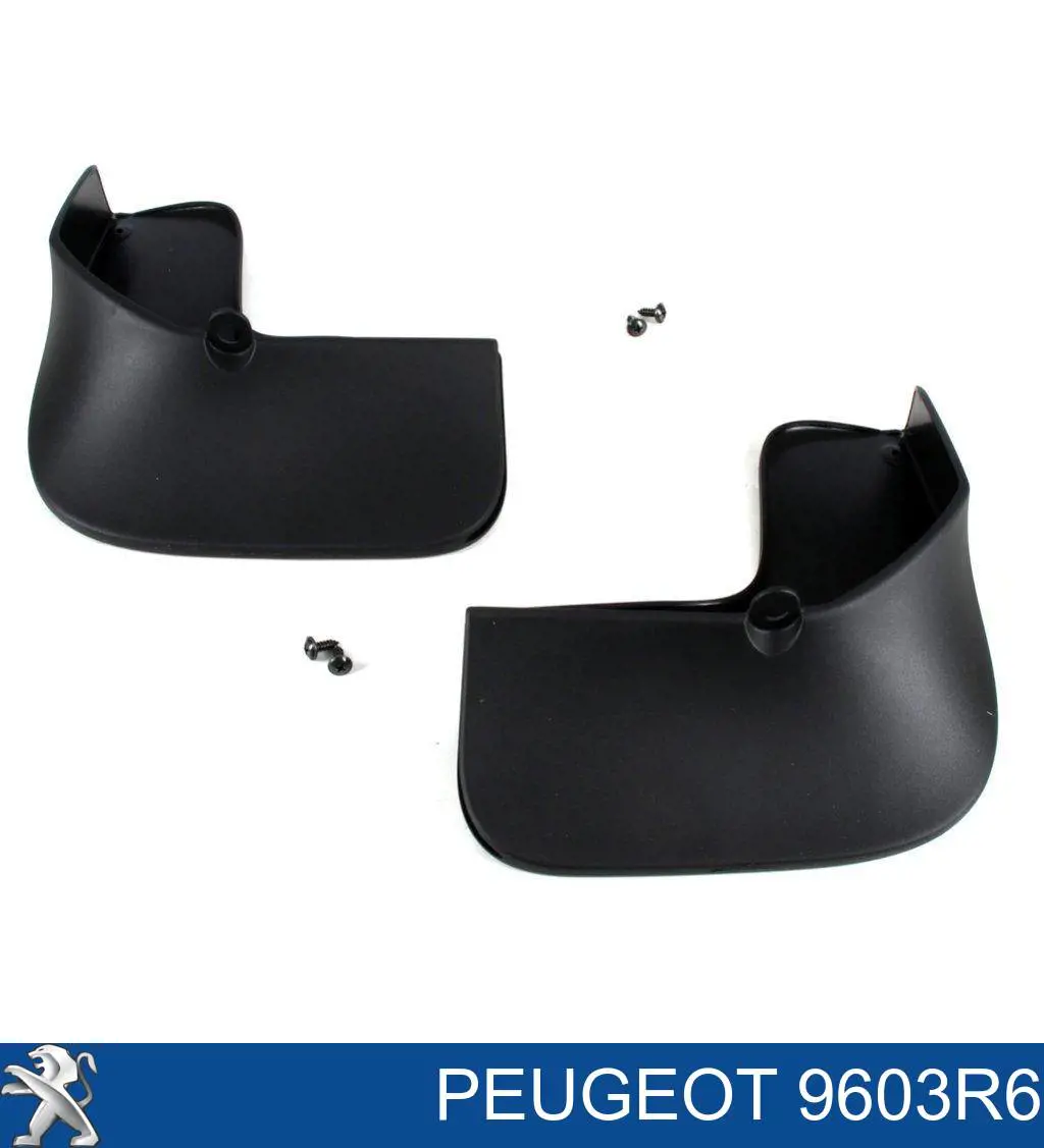 9603R6 Peugeot/Citroen Protetores de lama traseiros, kit