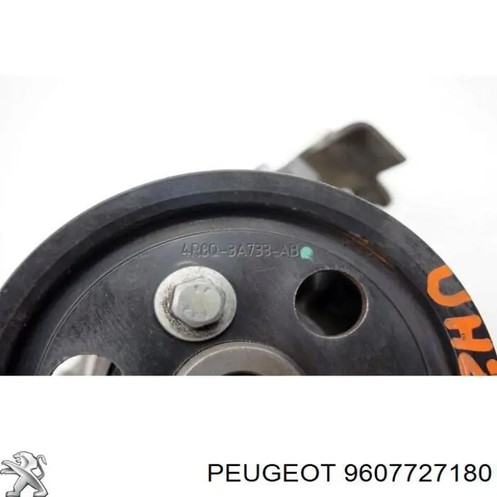 Polia de bomba da Direção hidrâulica assistida Peugeot/Citroen 9607727180