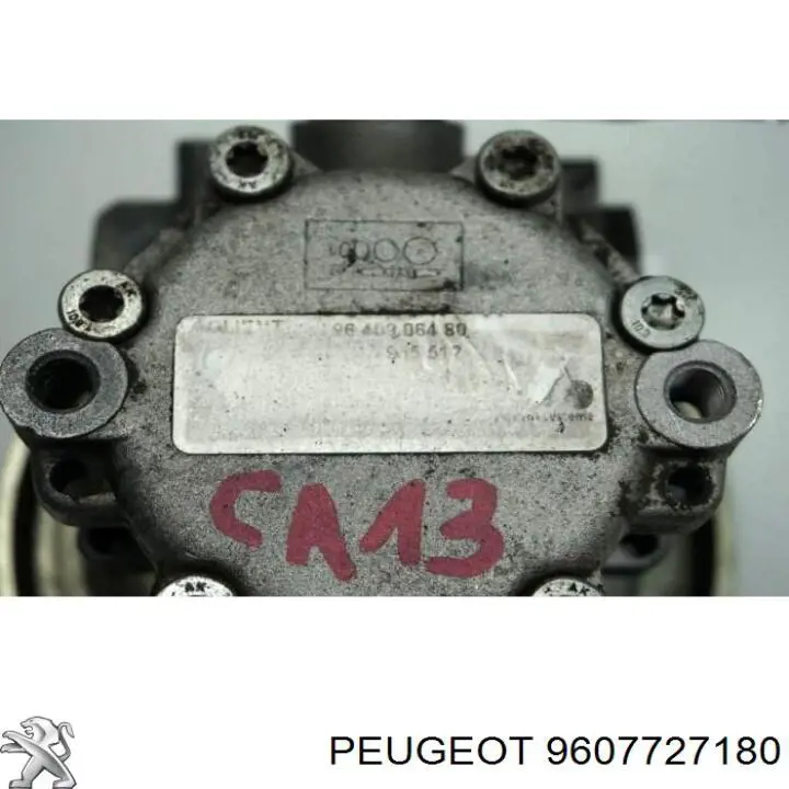Compre 9607727180 Peugeot/Citroen Polia de bomba da Direção hidrâulica assistida