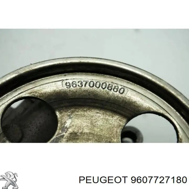 9607727180 Peugeot/Citroen Polia de bomba da Direção hidrâulica assistida