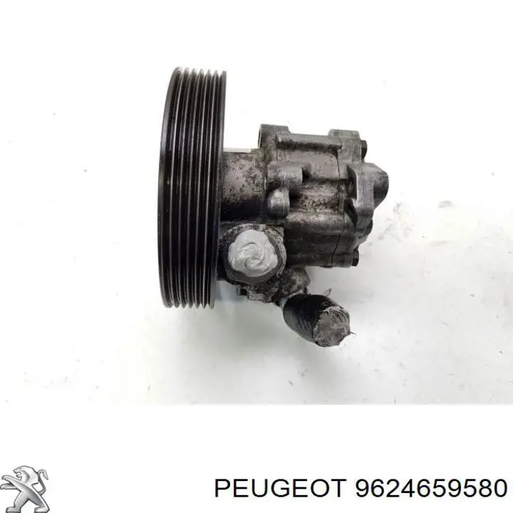Bomba da Direção hidrâulica assistida Peugeot/Citroen 9624659580 preço, a partir de 52,78 USD