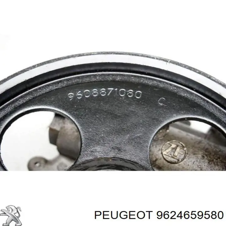 Compre 9624659580 Peugeot/Citroen Bomba da Direção hidrâulica assistida