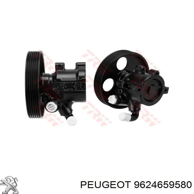 9624659580 Peugeot/Citroen Bomba da Direção hidrâulica assistida