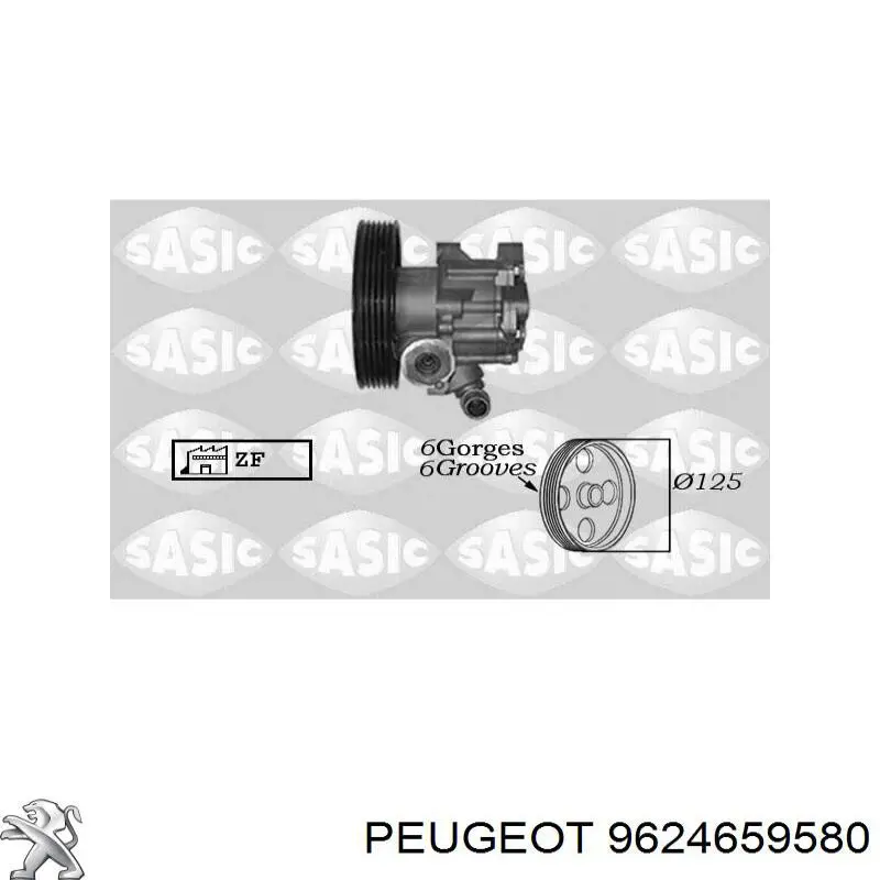 9624659580 Peugeot/Citroen Bomba da Direção hidrâulica assistida