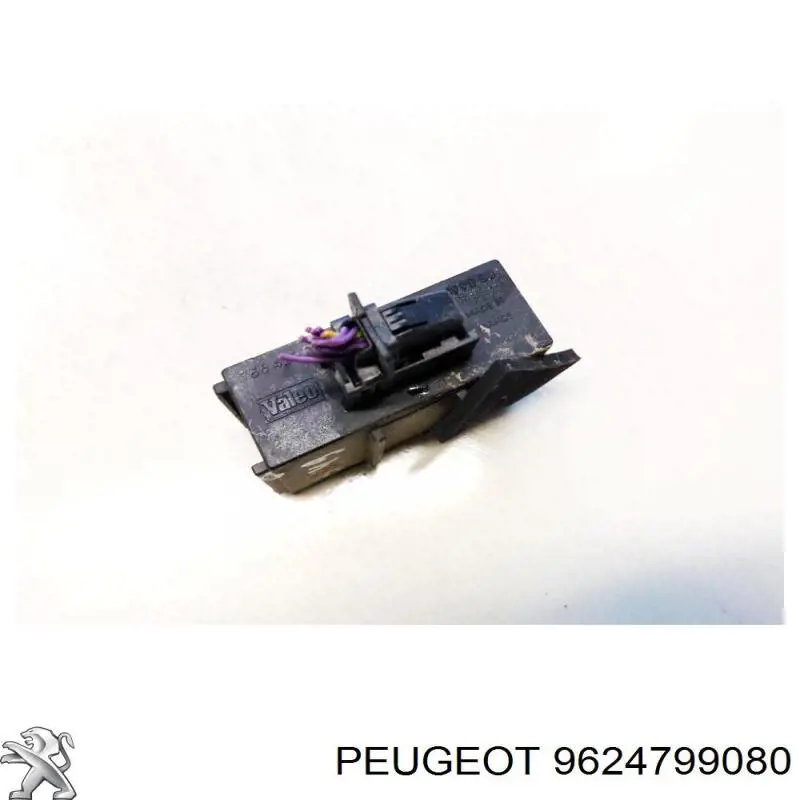  Peugeot/Citroen 9624799080