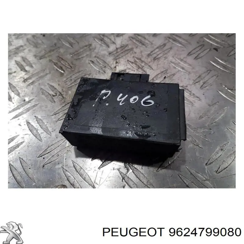 9624799080 Peugeot/Citroen 