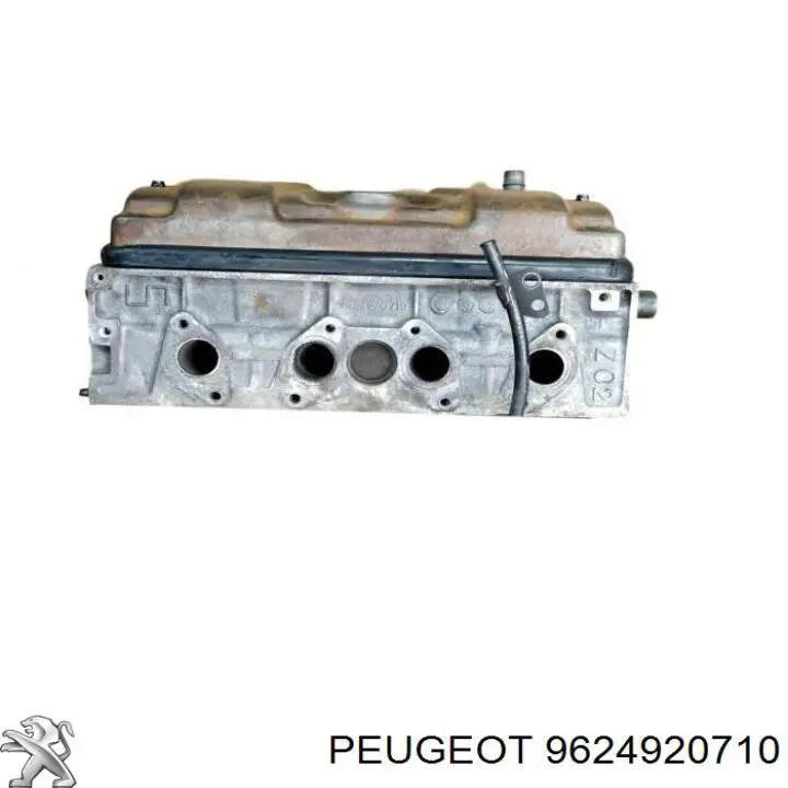 Compre 9624920710 Peugeot/Citroen 
