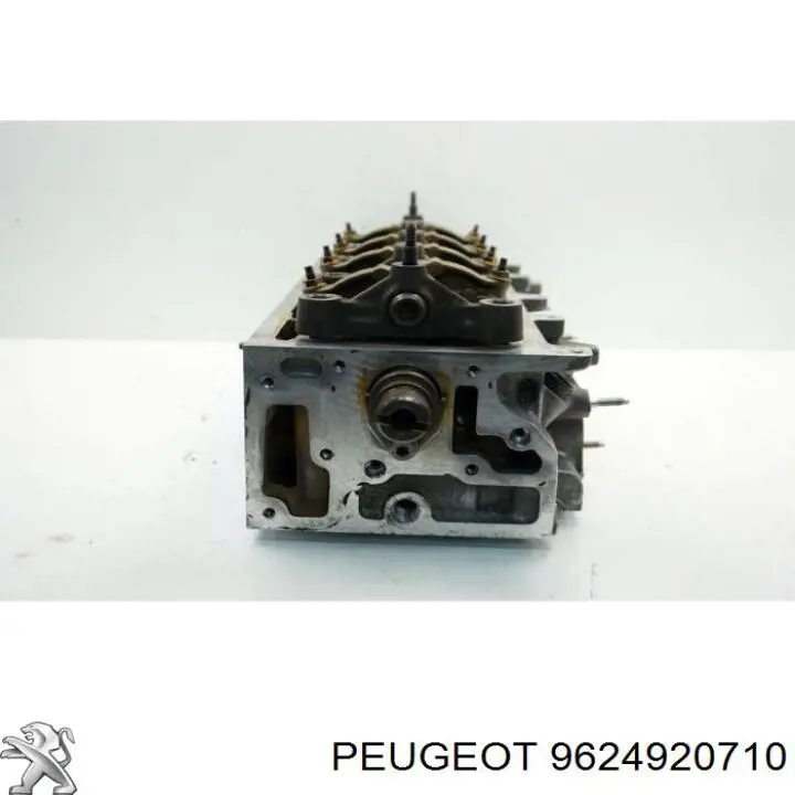  9624920710 Peugeot/Citroen
