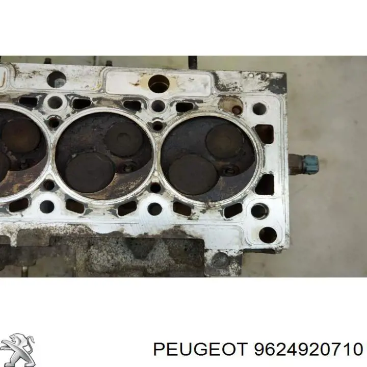  Peugeot/Citroen 9624920710