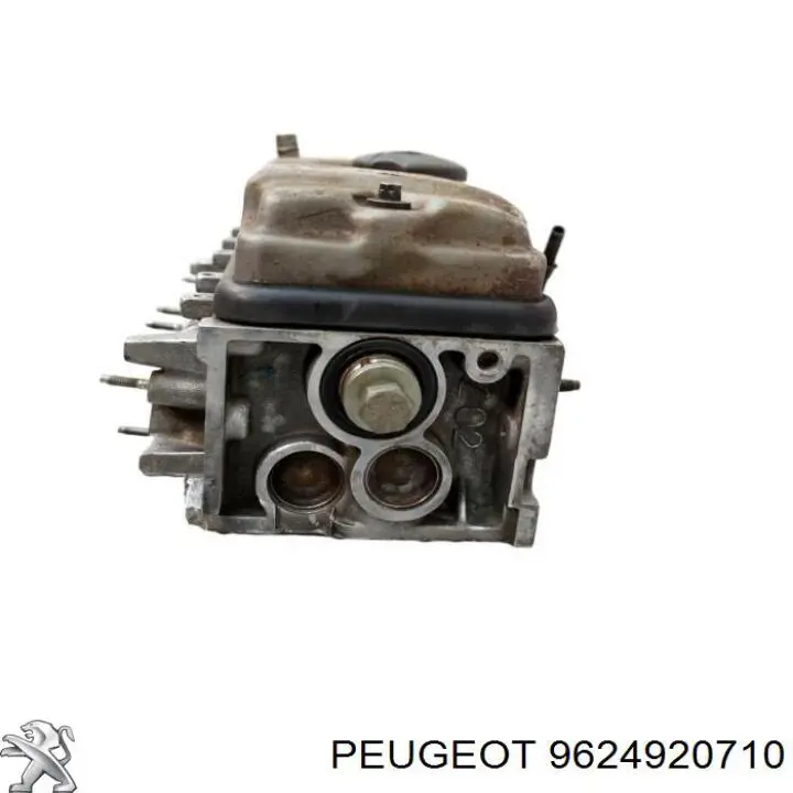 9624920710 Peugeot/Citroen 