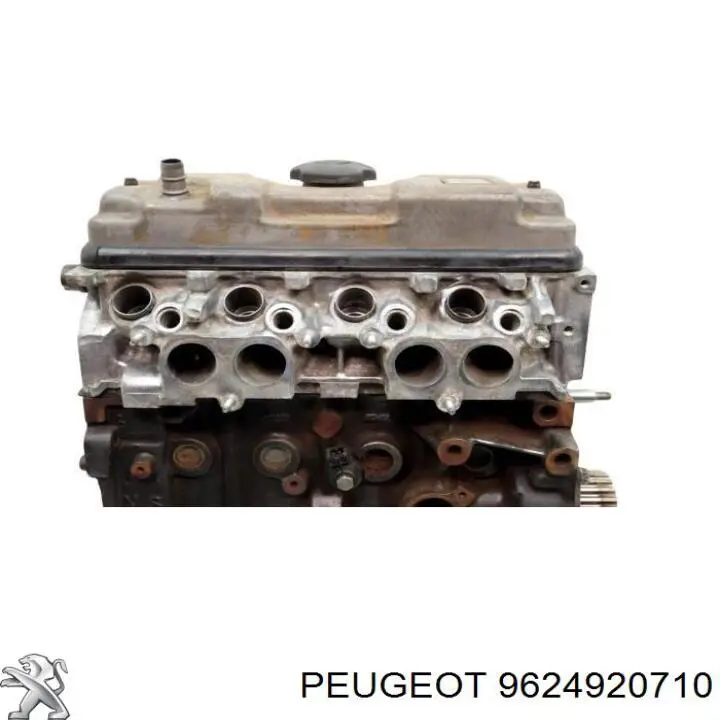 Compre 9624920710 Peugeot/Citroen 