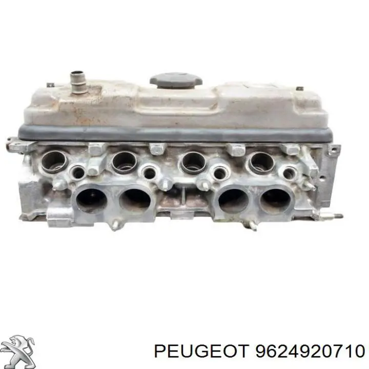 9624920710 Peugeot/Citroen