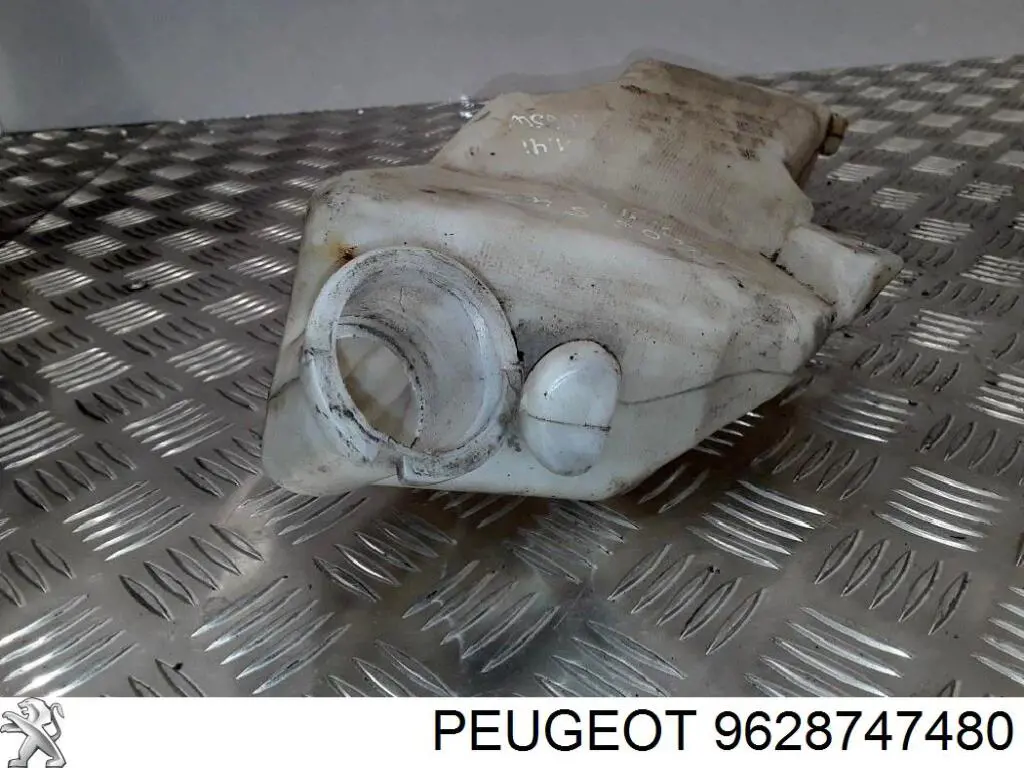 9628747480 Peugeot/Citroen 